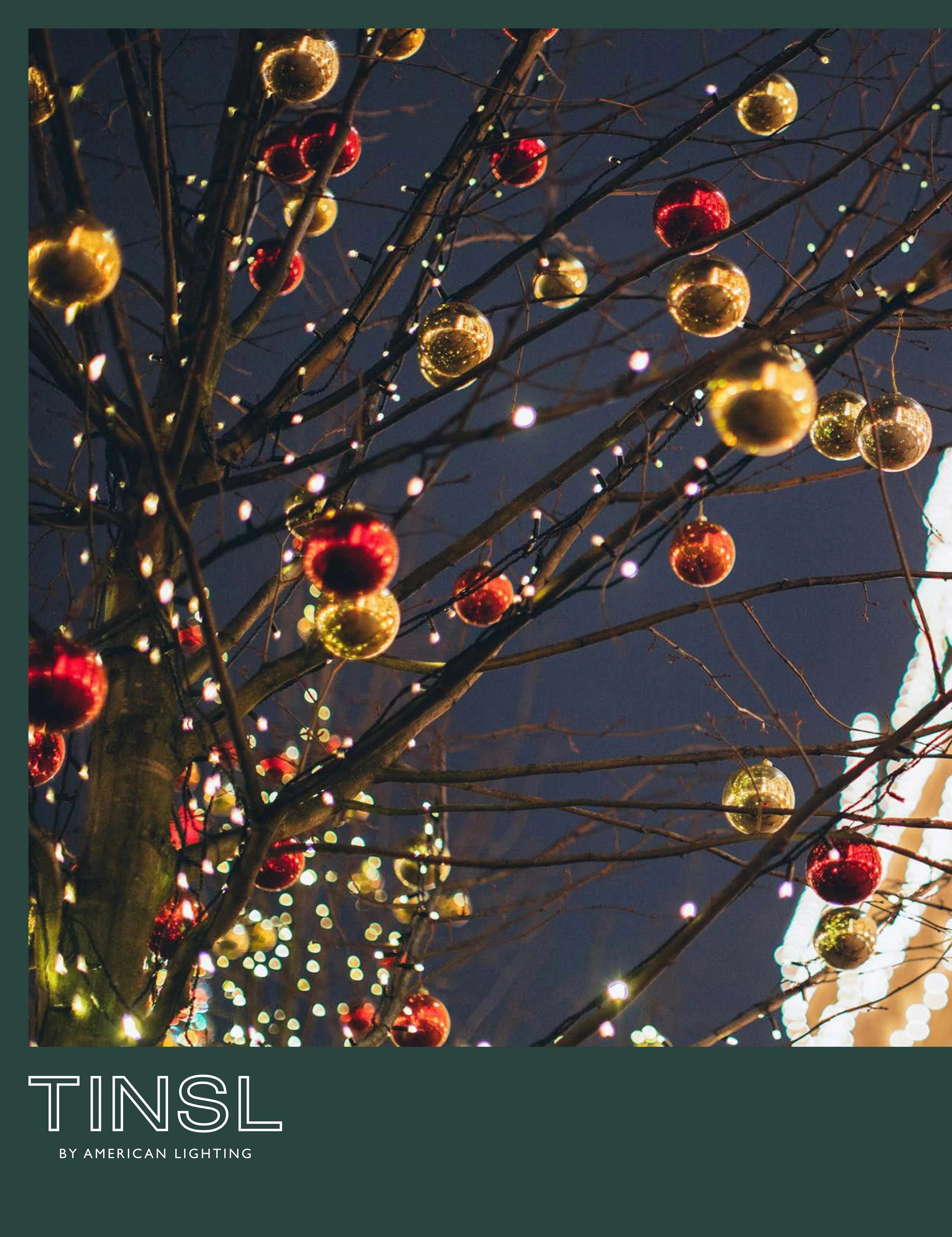 TINSL Seasonal Lighting Catalog Weekly Ad January 1 - December 31, 2026