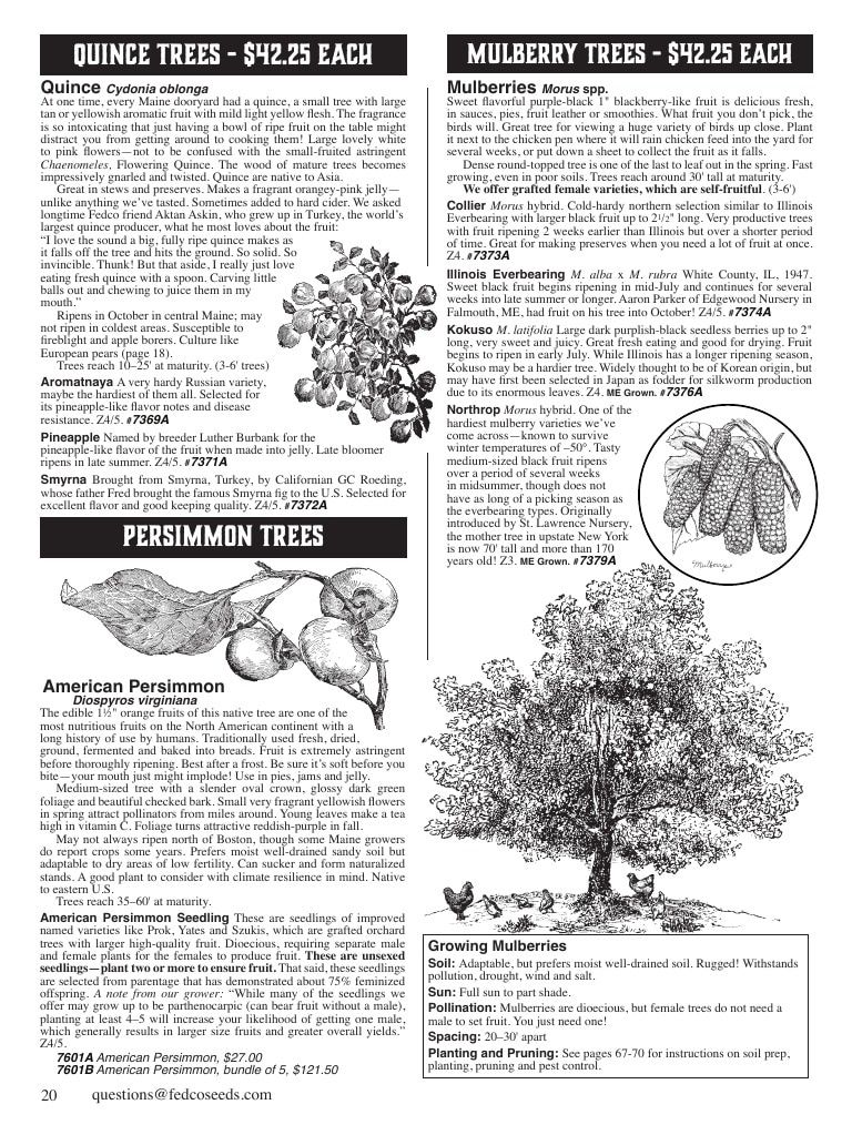 Fedco Seeds Trees Catalog Weekly Ad January 1 - December 31, 2027