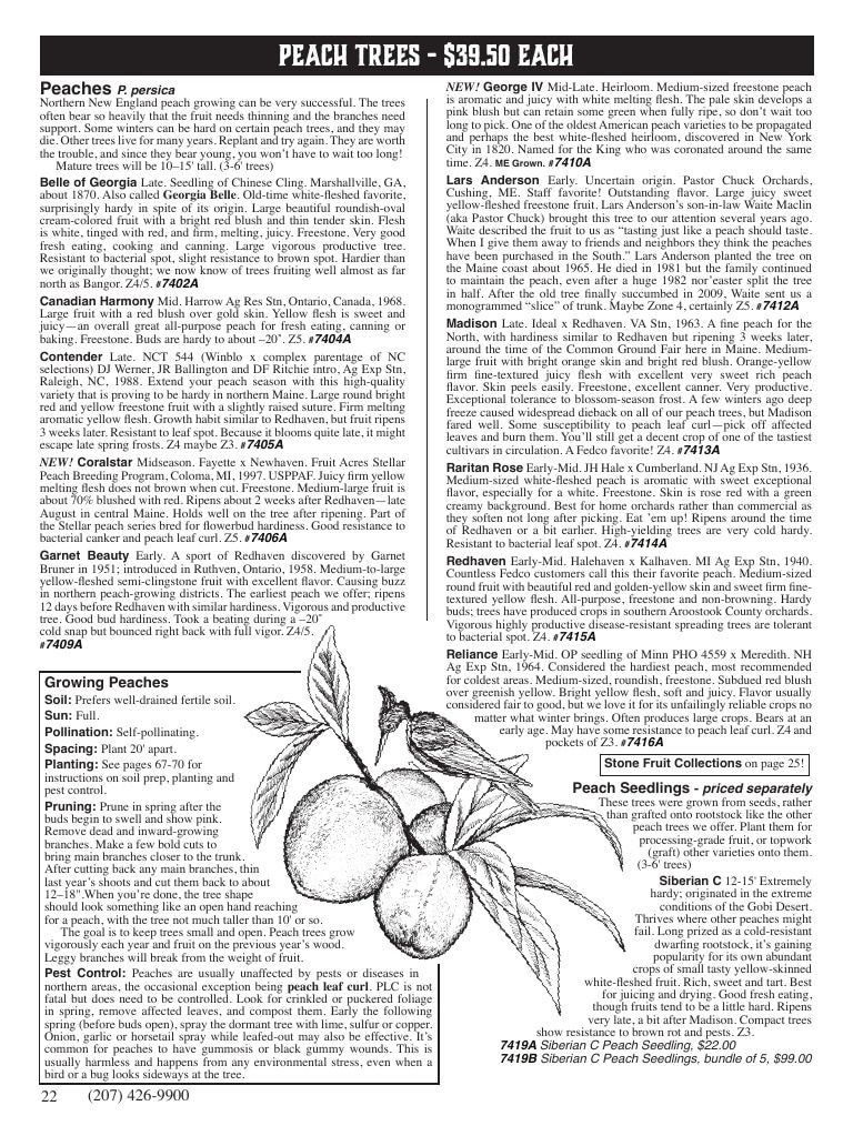 Fedco Seeds Trees Catalog Weekly Ad January 1 - December 31, 2027