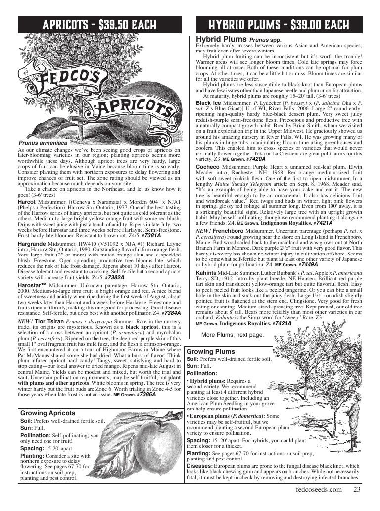 Fedco Seeds Trees Catalog Weekly Ad January 1 - December 31, 2027