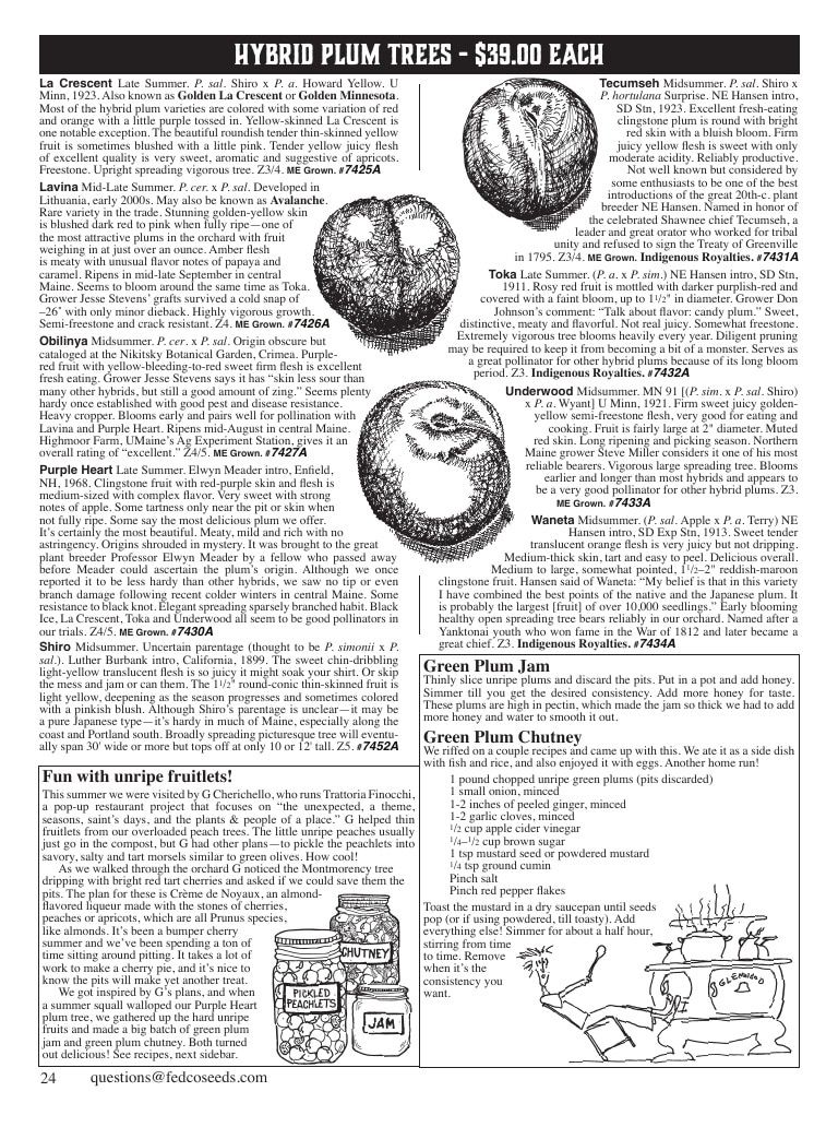 Fedco Seeds Trees Catalog Weekly Ad January 1 - December 31, 2027