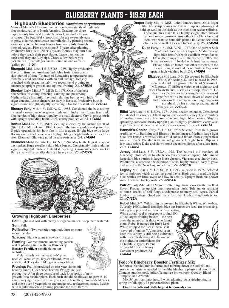 Fedco Seeds Trees Catalog Weekly Ad January 1 - December 31, 2027