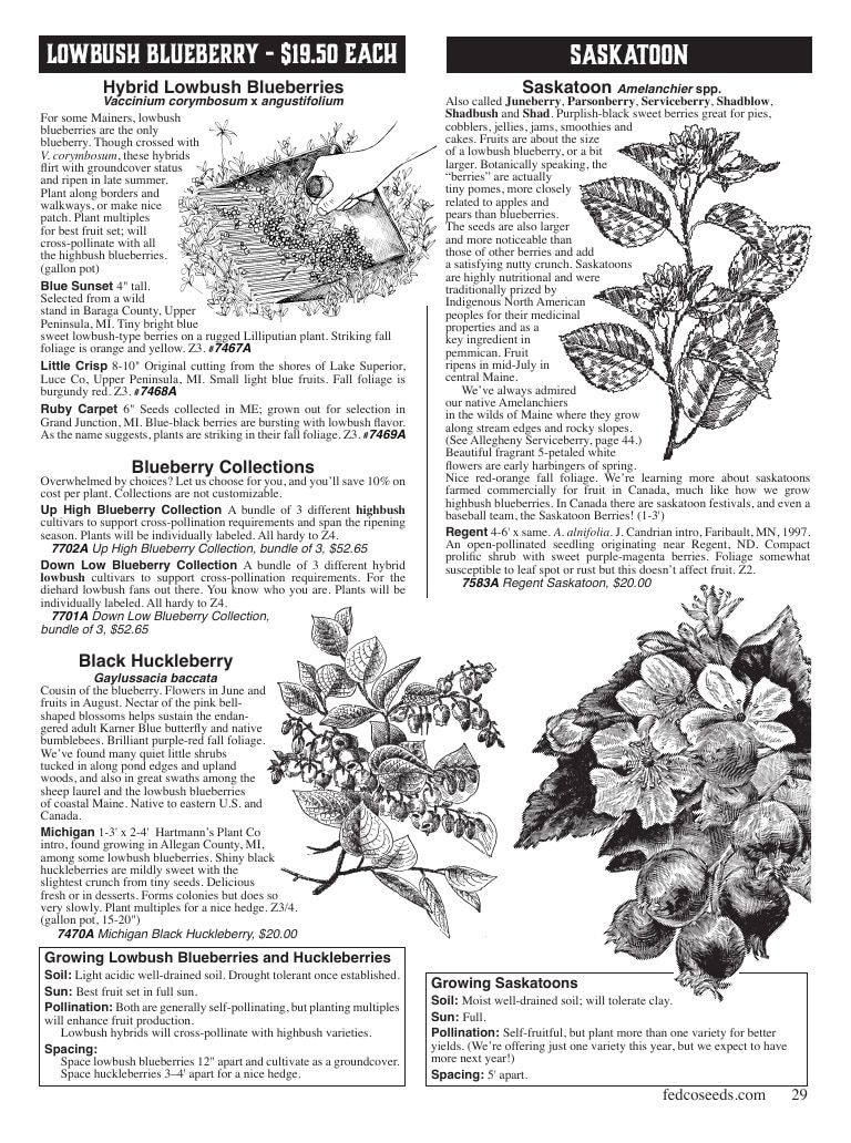 Fedco Seeds Trees Catalog Weekly Ad January 1 - December 31, 2027