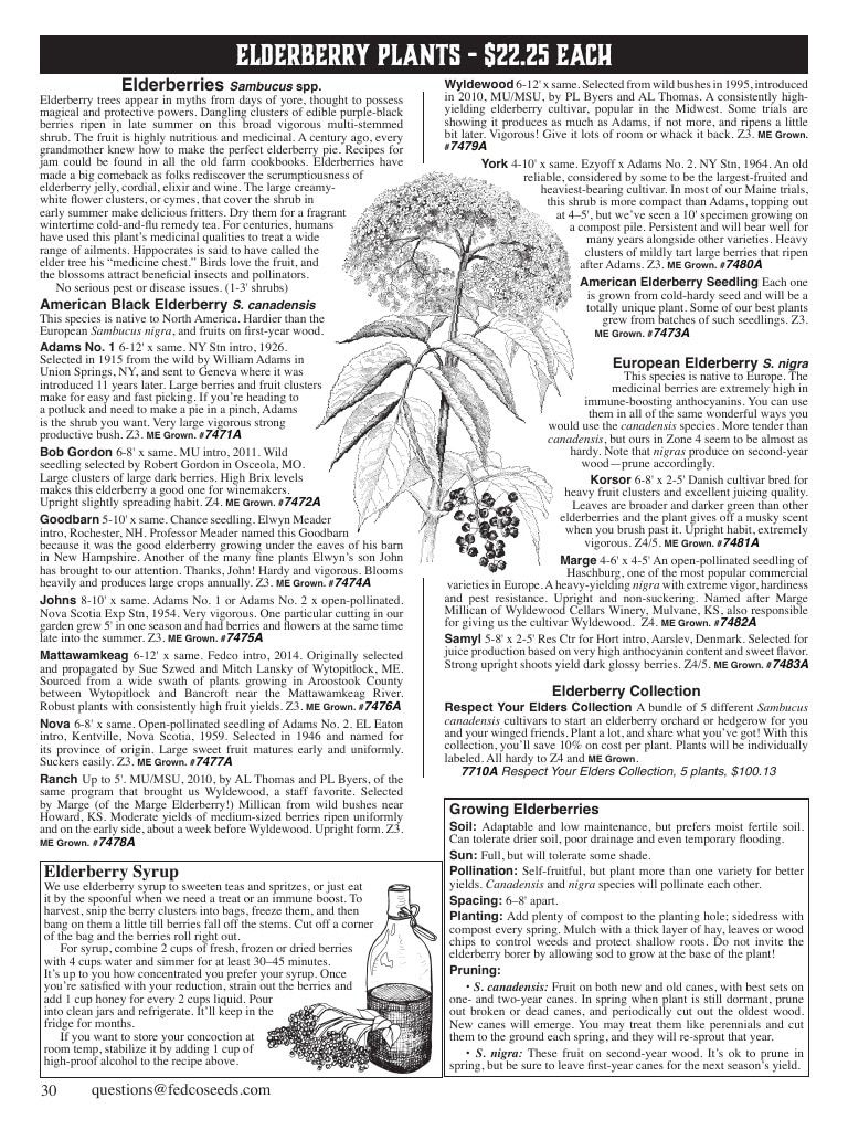 Fedco Seeds Trees Catalog Weekly Ad January 1 - December 31, 2027