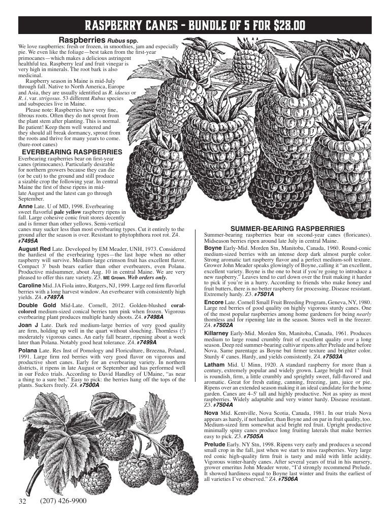 Fedco Seeds Trees Catalog Weekly Ad January 1 - December 31, 2027
