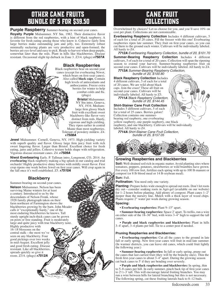 Fedco Seeds Trees Catalog Weekly Ad January 1 - December 31, 2027