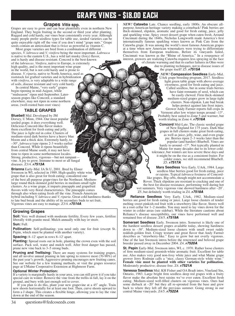 Fedco Seeds Trees Catalog Weekly Ad January 1 - December 31, 2027
