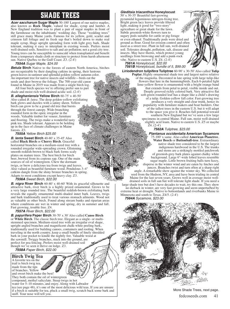 Fedco Seeds Trees Catalog Weekly Ad January 1 - December 31, 2027