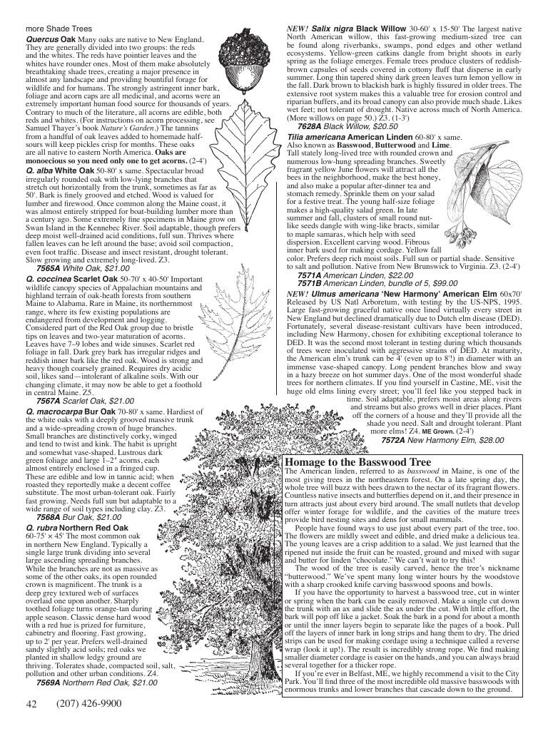 Fedco Seeds Trees Catalog Weekly Ad January 1 - December 31, 2027