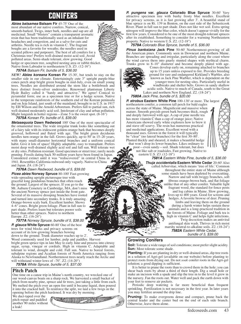 Fedco Seeds Trees Catalog Weekly Ad January 1 - December 31, 2027