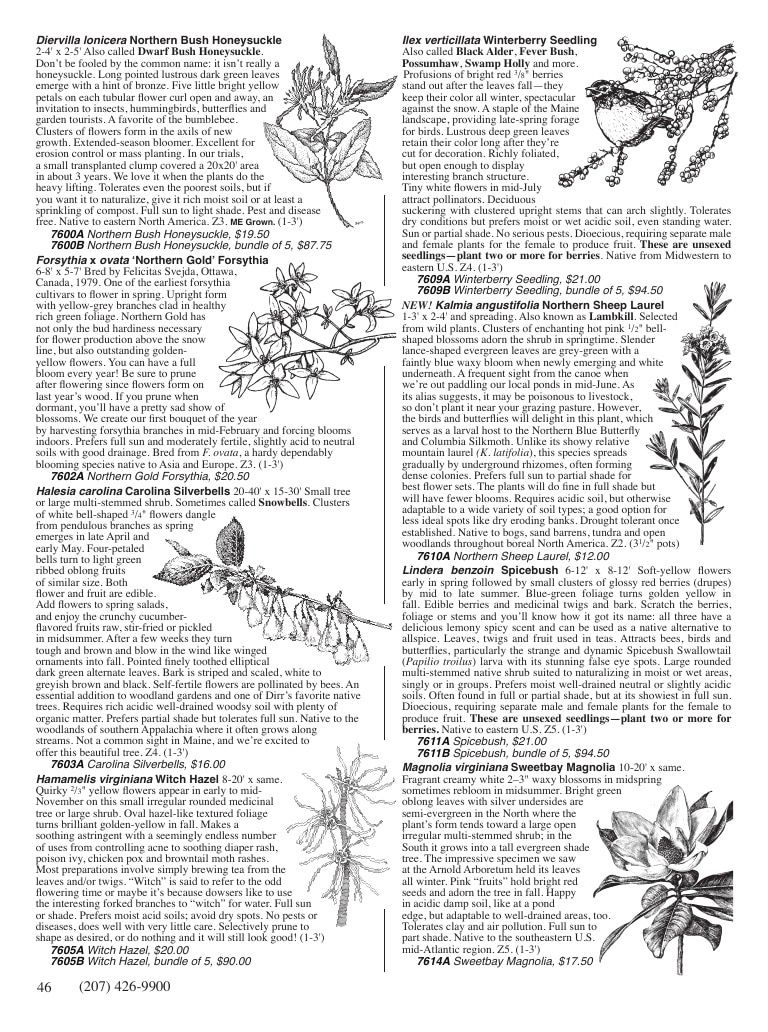 Fedco Seeds Trees Catalog Weekly Ad January 1 - December 31, 2027