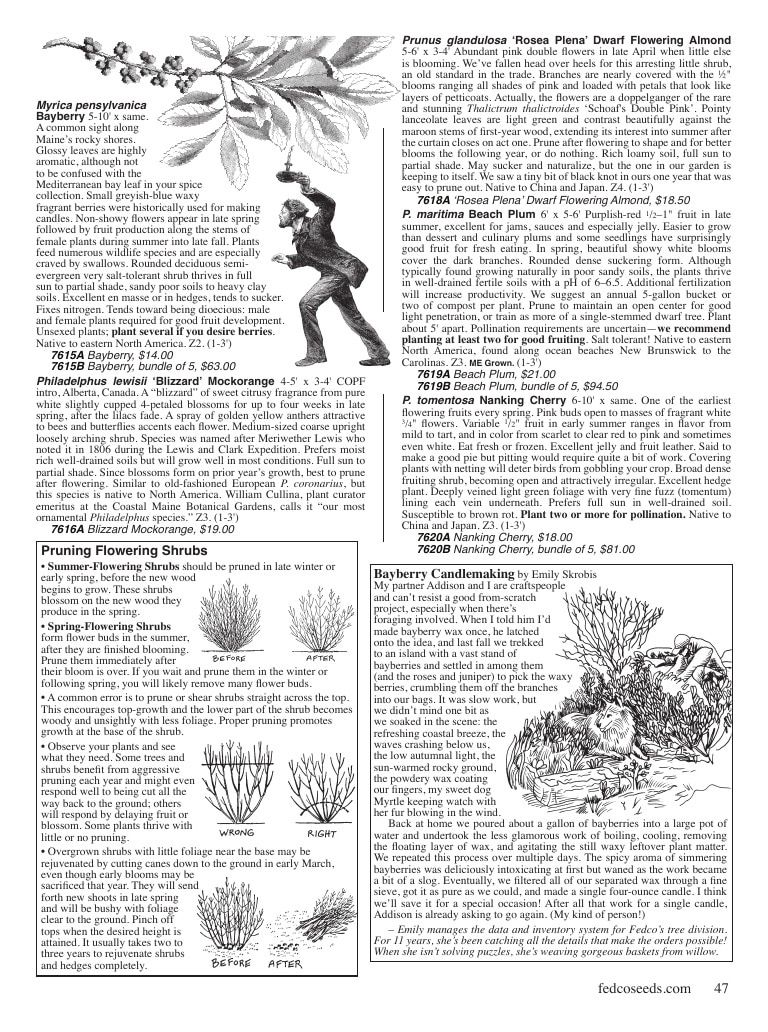 Fedco Seeds Trees Catalog Weekly Ad January 1 - December 31, 2027