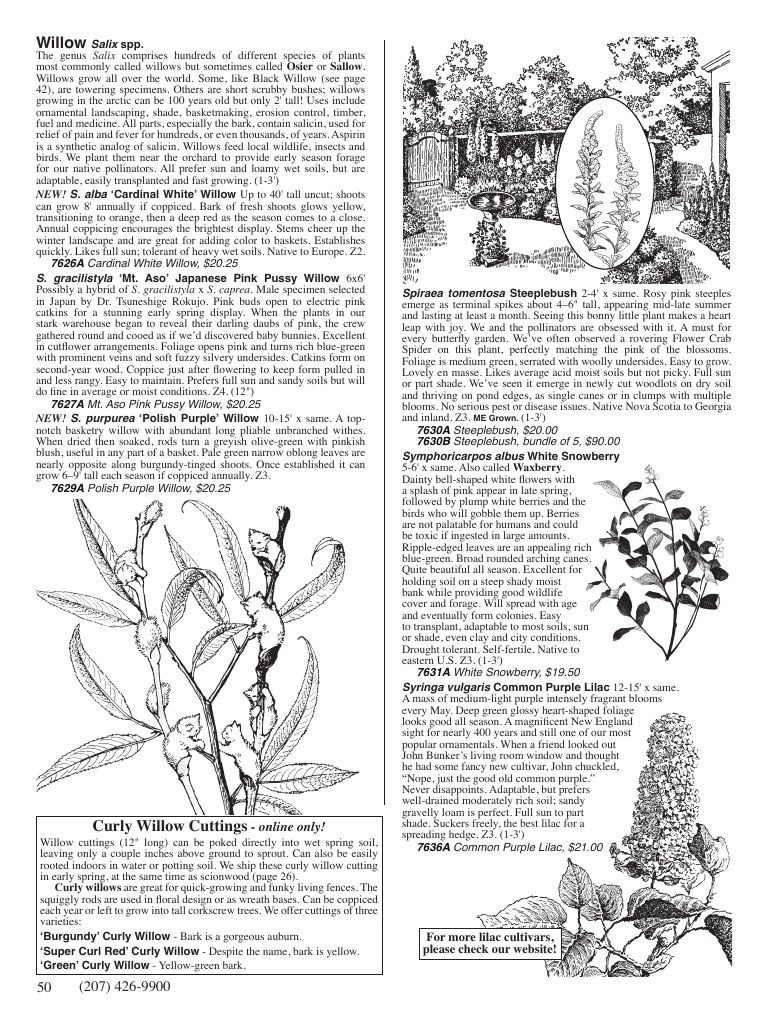 Fedco Seeds Trees Catalog Weekly Ad January 1 - December 31, 2027