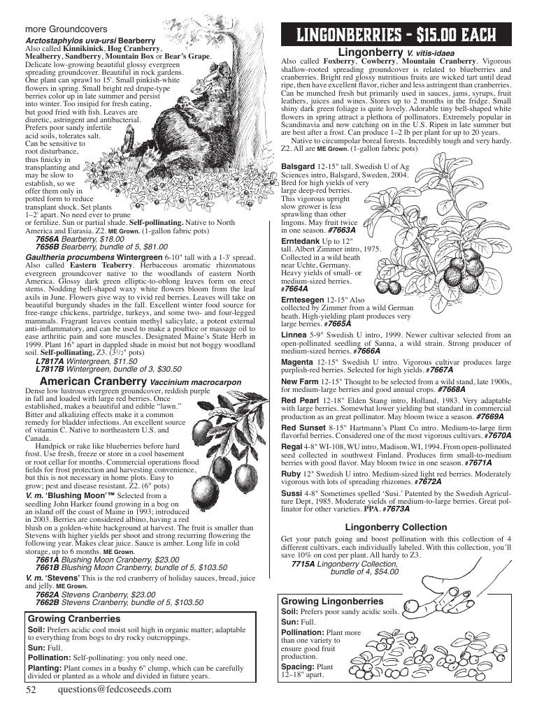 Fedco Seeds Trees Catalog Weekly Ad January 1 - December 31, 2027