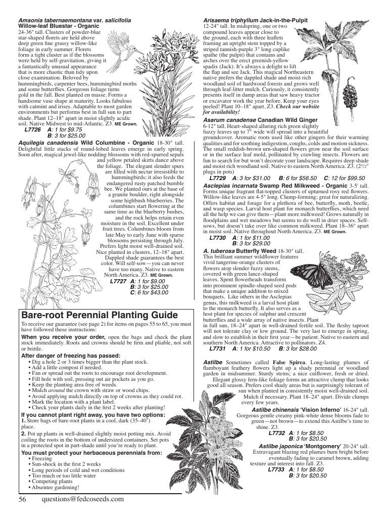 Fedco Seeds Trees Catalog Weekly Ad January 1 - December 31, 2027