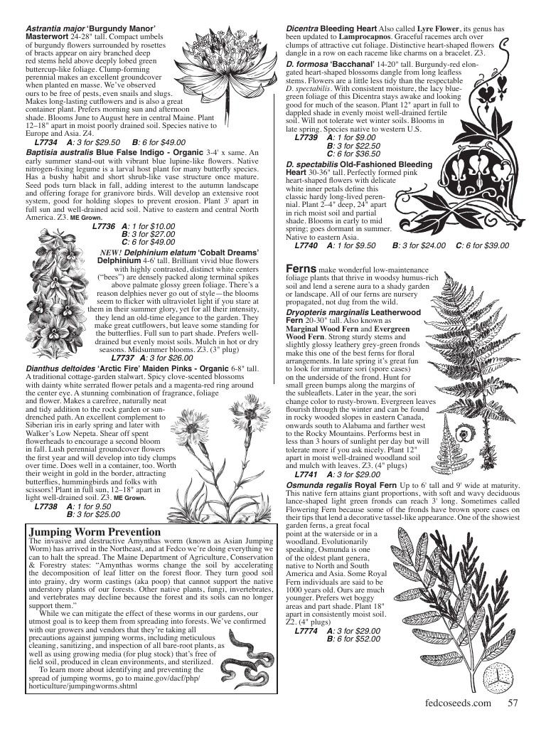 Fedco Seeds Trees Catalog Weekly Ad January 1 - December 31, 2027
