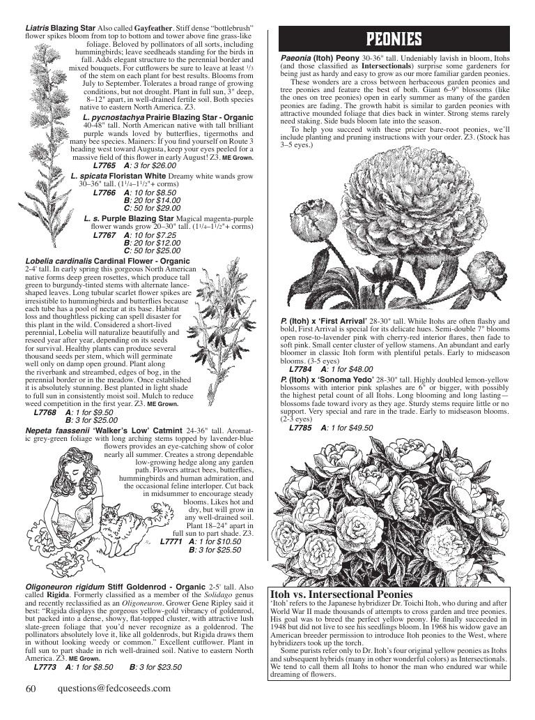 Fedco Seeds Trees Catalog Weekly Ad January 1 - December 31, 2027