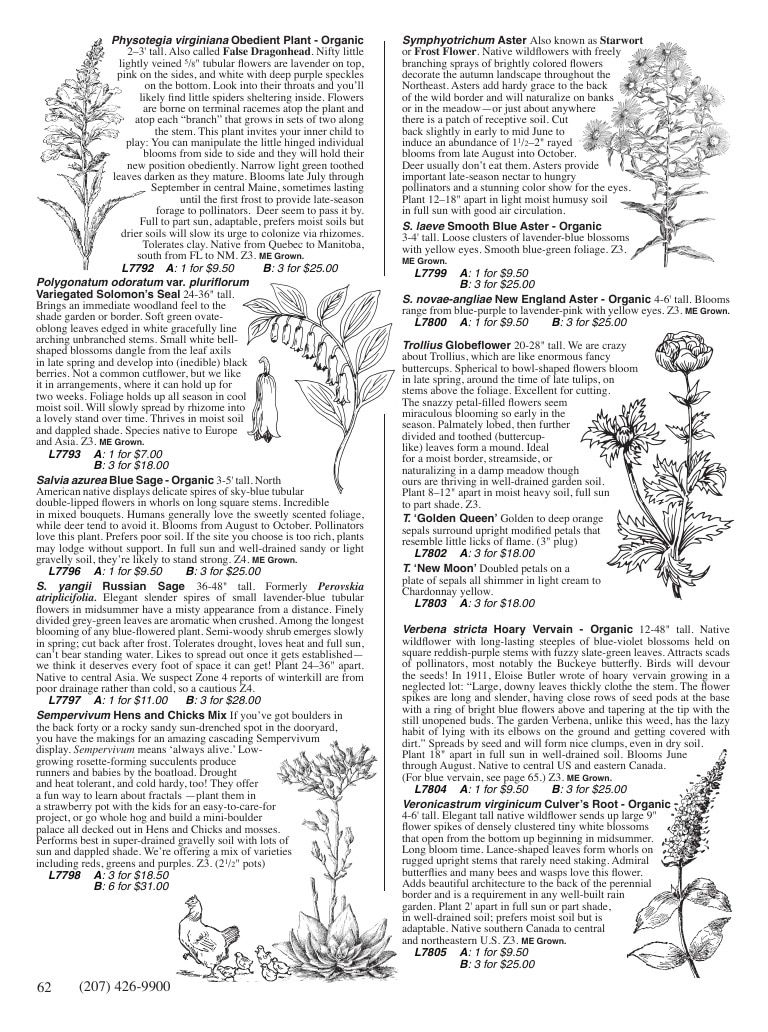 Fedco Seeds Trees Catalog Weekly Ad January 1 - December 31, 2027