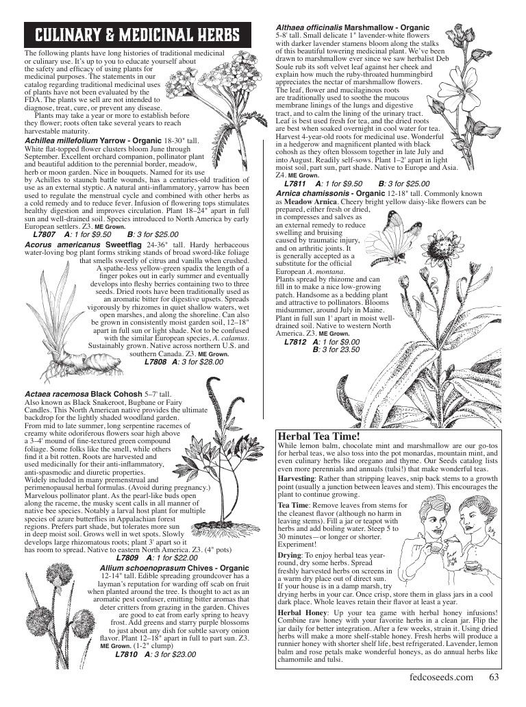 Fedco Seeds Trees Catalog Weekly Ad January 1 - December 31, 2027