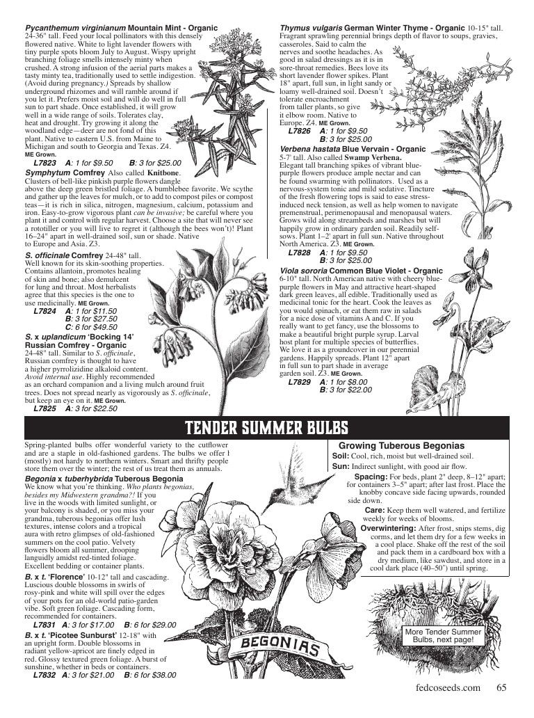 Fedco Seeds Trees Catalog Weekly Ad January 1 - December 31, 2027