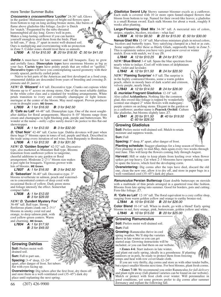 Fedco Seeds Trees Catalog Weekly Ad January 1 - December 31, 2027