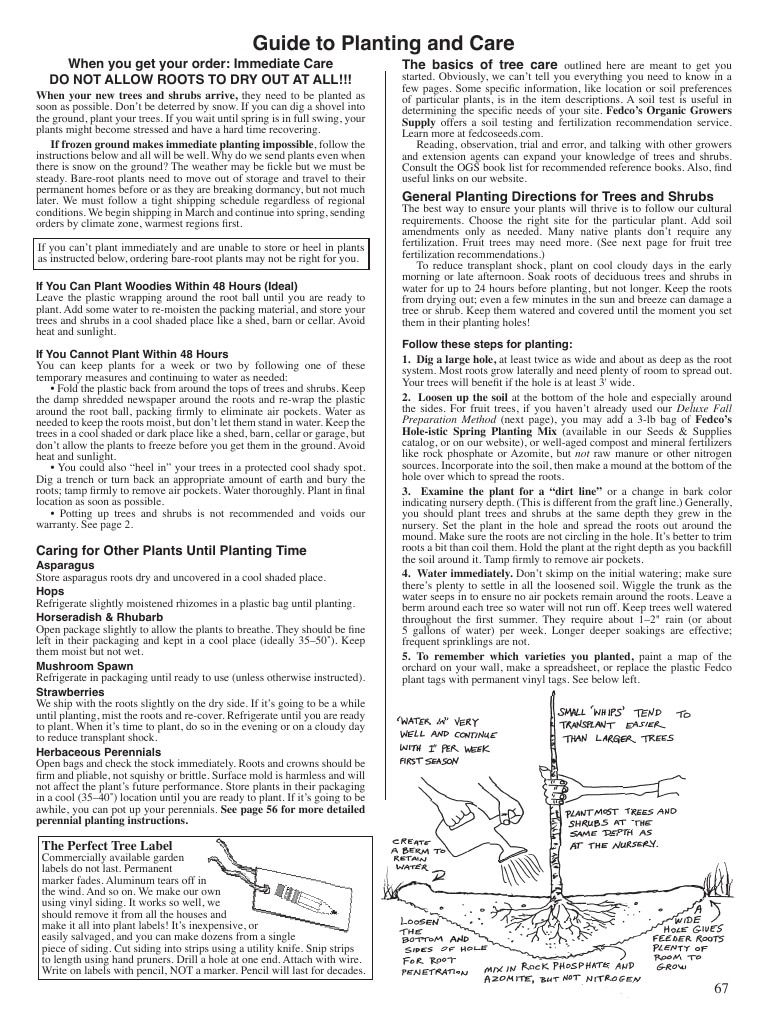Fedco Seeds Trees Catalog Weekly Ad January 1 - December 31, 2027