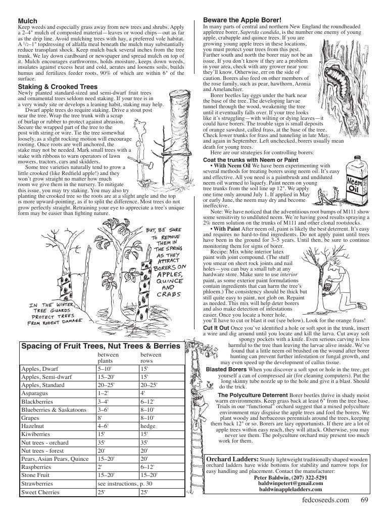 Fedco Seeds Trees Catalog Weekly Ad January 1 - December 31, 2027