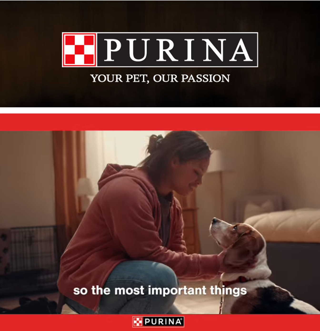 Nemenz IGA Purina Weekly Ad October 1 - 31, 2026