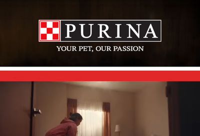 Ocean Shores IGA Purina Weekly Ad October 1 - 31, 2026