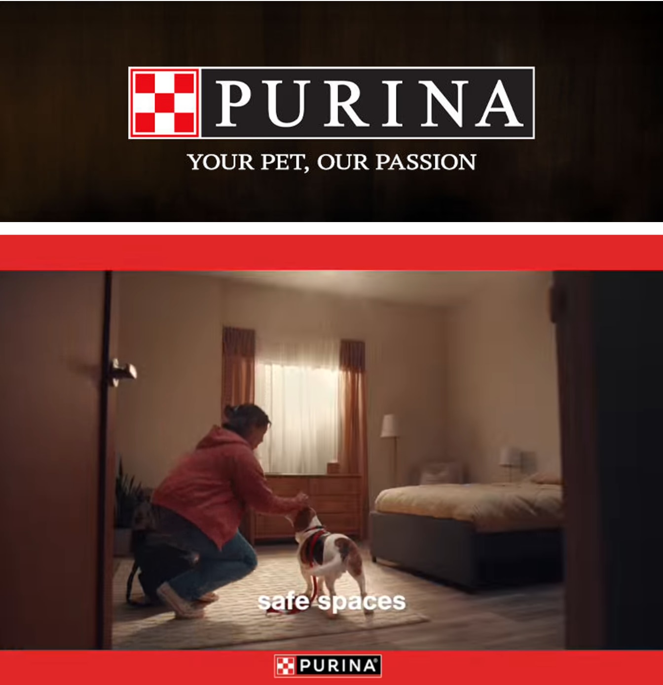 Campbellsburg IGA Purina Weekly Ad October 1 - 31, 2026