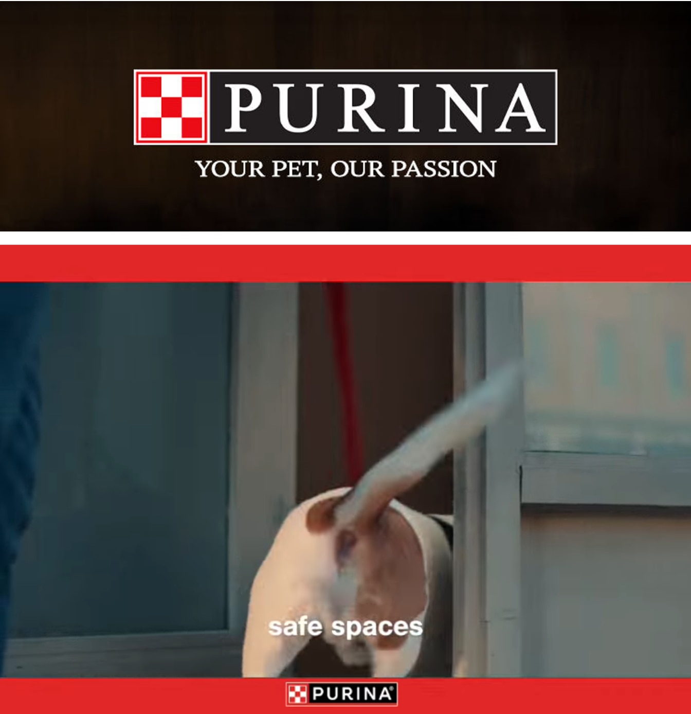 Gel's IGA Purina Weekly Ad October 1 - 31, 2026