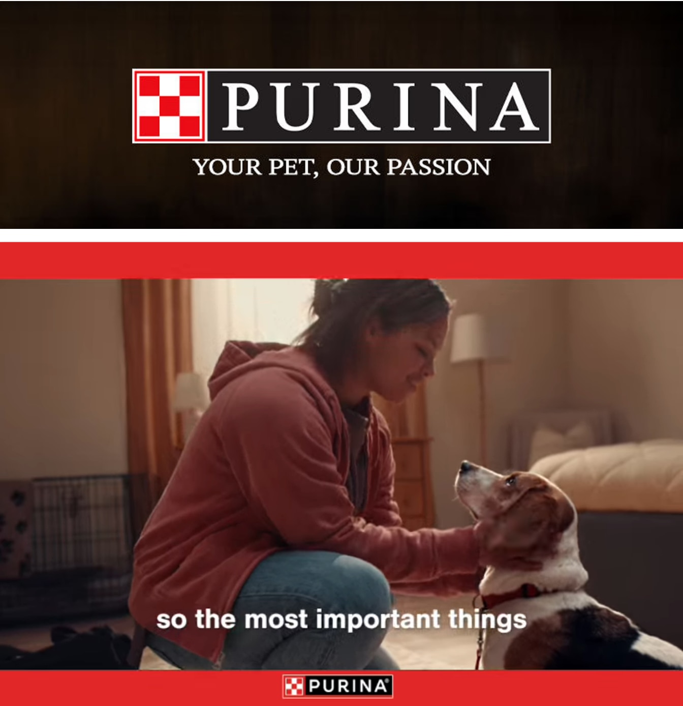 Okey's Market Purina Weekly Ad October 1 - 31, 2026