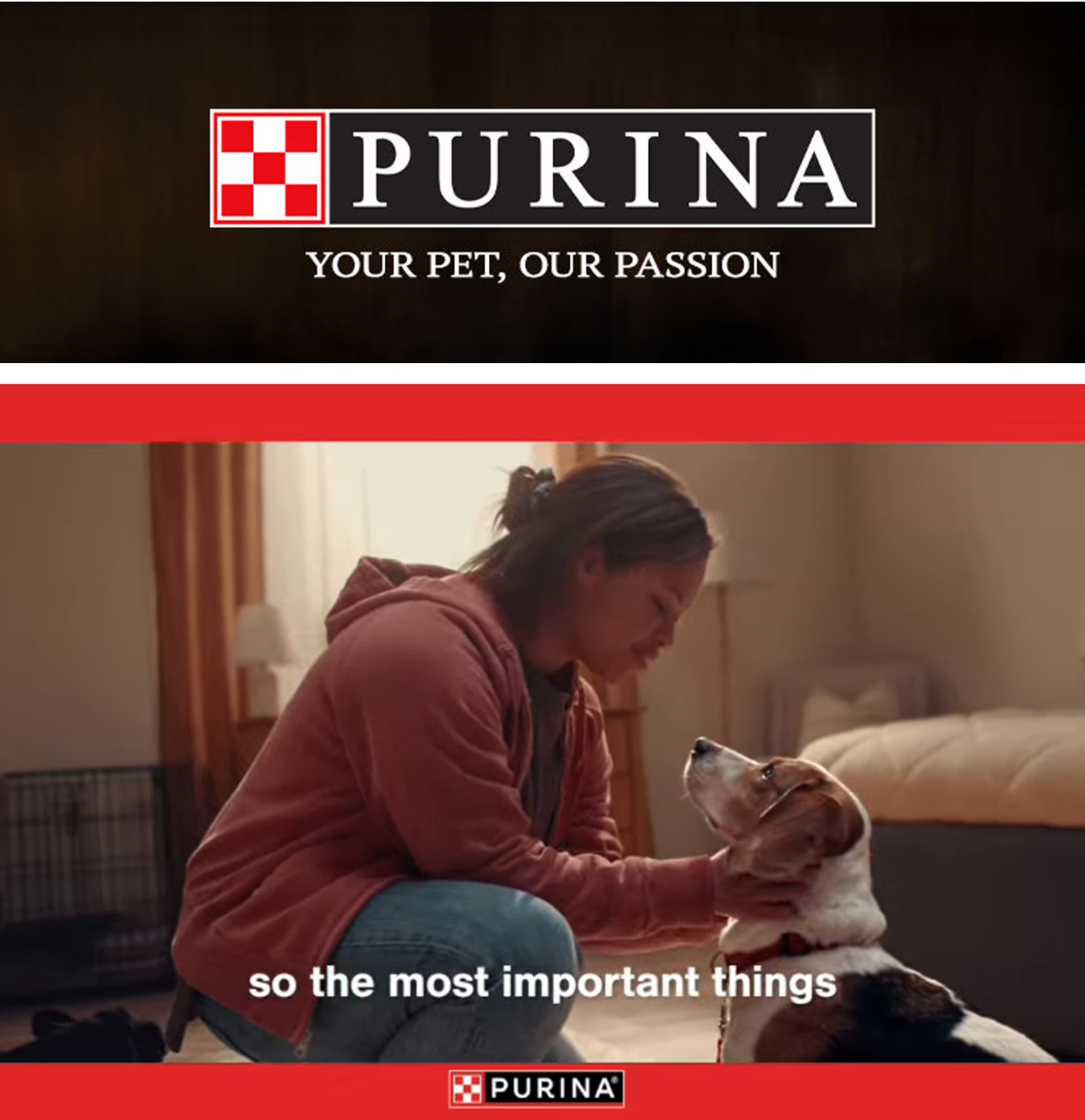 Village Beach Market Purina Weekly Ad October 1 - 31, 2026