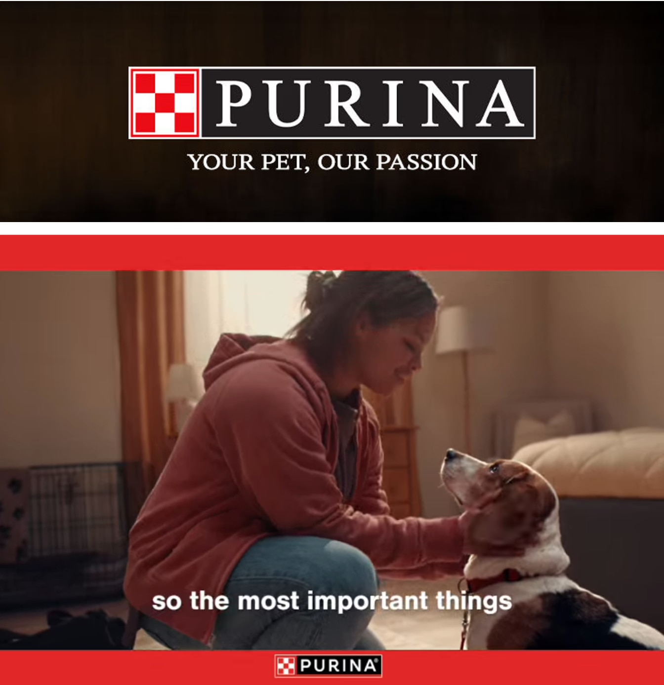 Walter's Market Ohio Purina Weekly Ad October 1 - 31, 2026