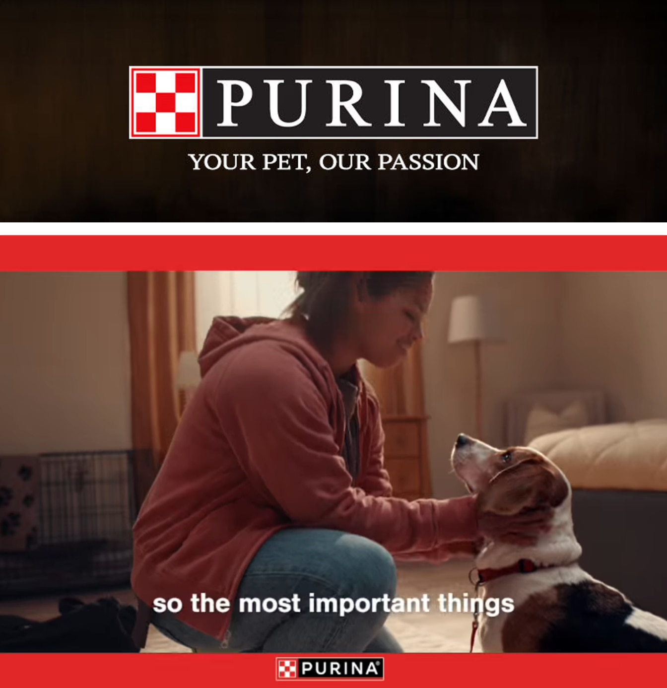 Jenkins IGA Purina Weekly Ad October 1 - 31, 2026