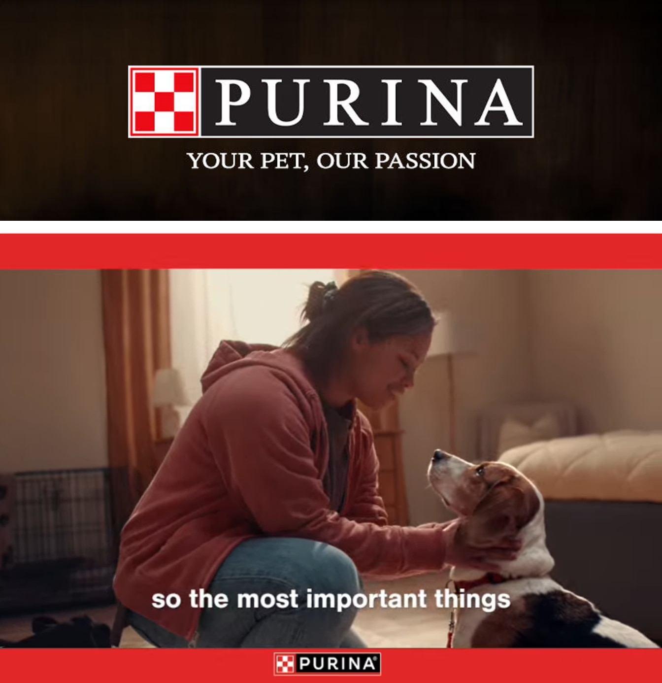J.C. Market Purina Weekly Ad October 1 - 31, 2026