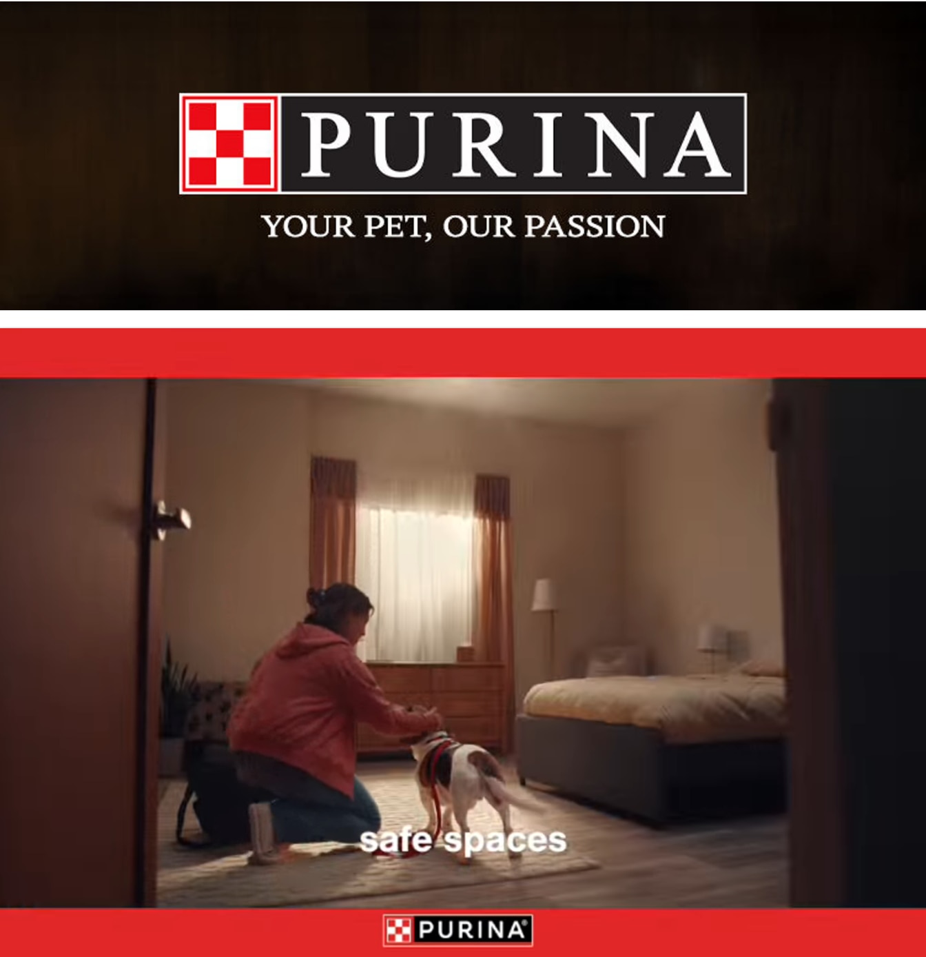 Lakeway IGA Purina Weekly Ad October 1 - 31, 2026