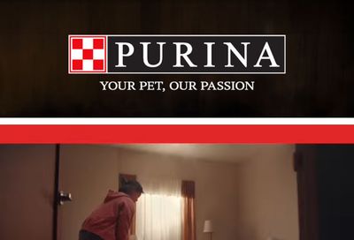 Valley Fresh Purina Weekly Ad October 1 - 31, 2026