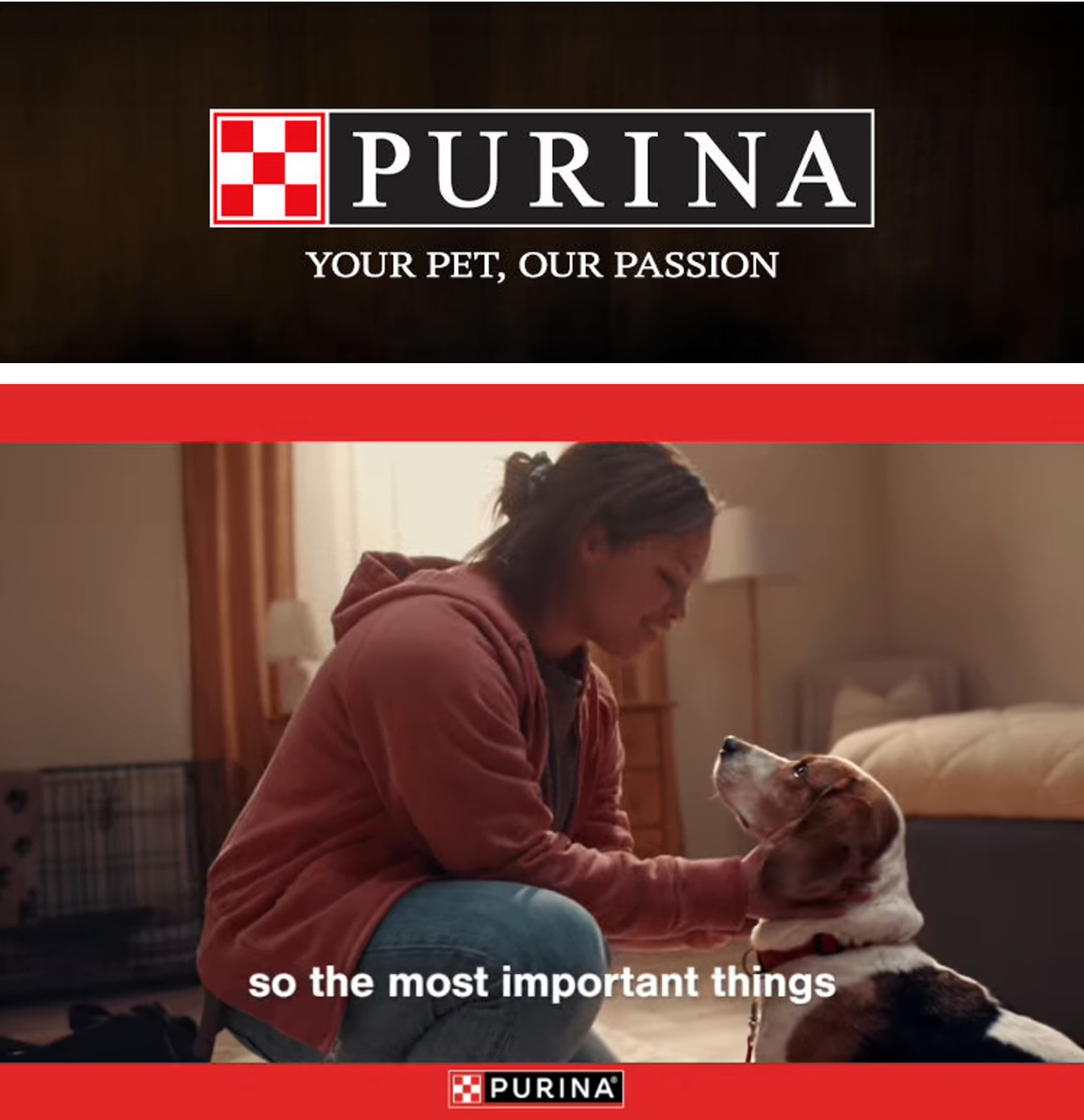 Salem Mega Foods Purina Weekly Ad October 1 - 31, 2026