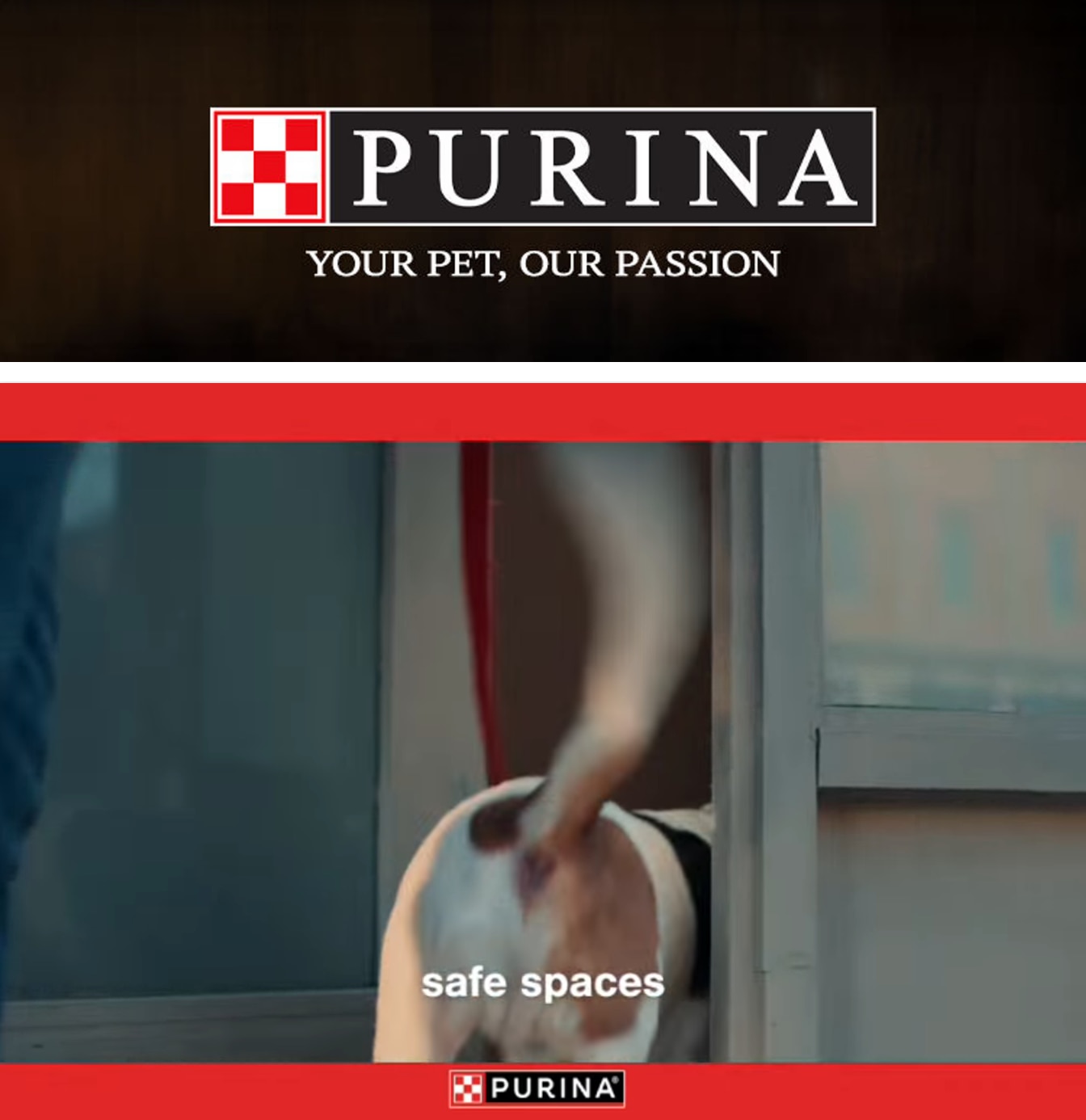 California Fresh Markets Purina Weekly Ad October 1 - 31, 2026