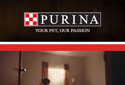 East Hampton IGA Purina Weekly Ad October 1 - 31, 2026