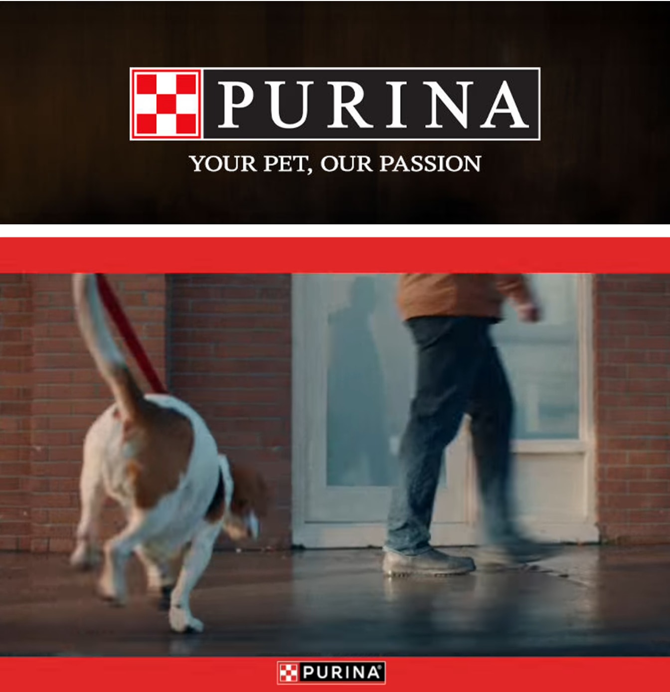 Fort Salonga IGA Purina Weekly Ad October 1 - 31, 2026