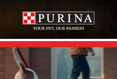 Fort Salonga IGA Purina Weekly Ad October 1 - 31, 2026