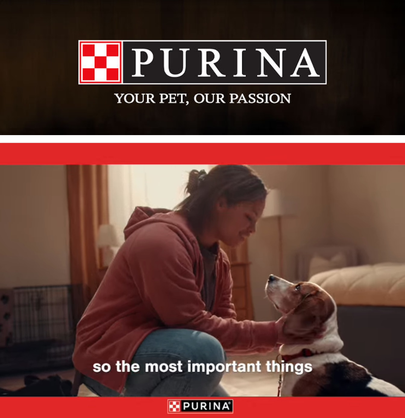 Olsen's Marketplace IGA Purina Weekly Ad October 1 - 31, 2026