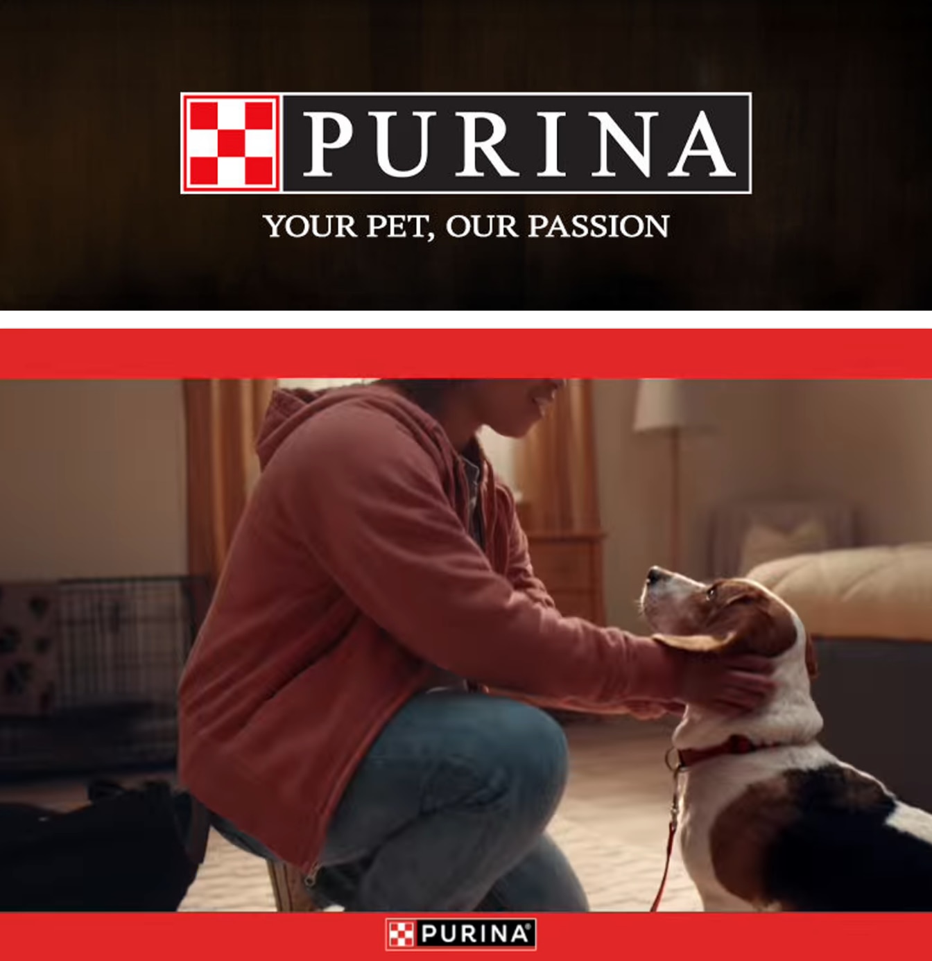 Dave's Marketplace Purina Weekly Ad October 1 - 31, 2026