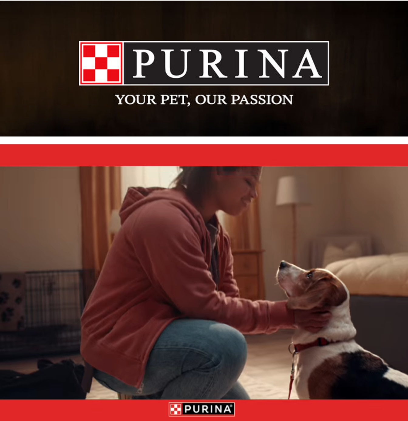 Adam's IGA (Connecticut, Massachusetts, Rhode Island) Purina Weekly Ad October 1 - 31, 2026