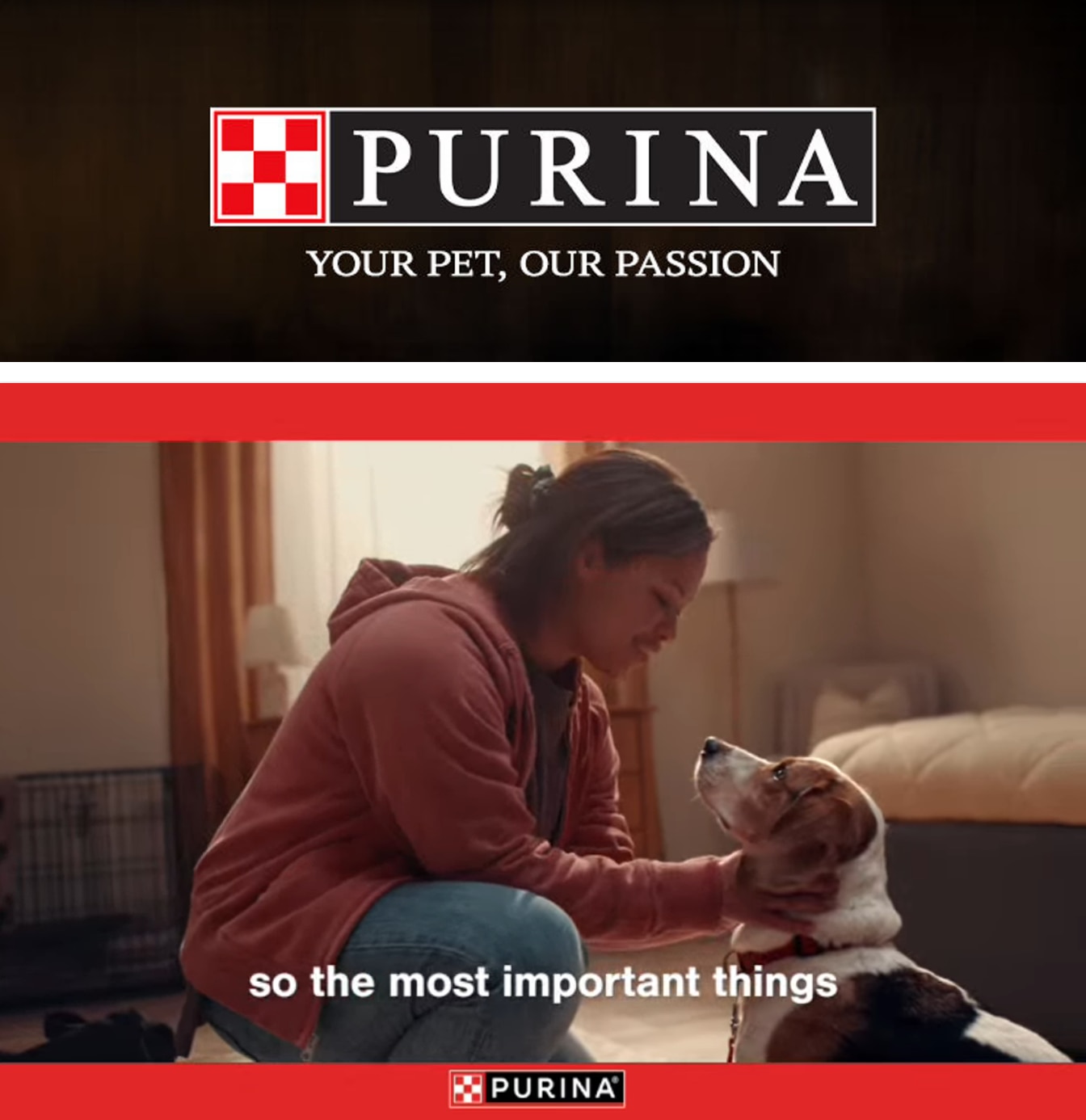 B & F Mountain Market Purina Weekly Ad October 1 - 31, 2026