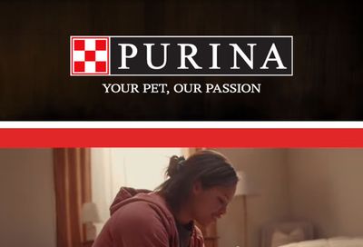 B & F Mountain Market Purina Weekly Ad October 1 - 31, 2026