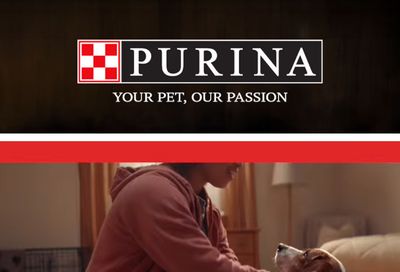 IGA Quincy Market Purina Weekly Ad October 1 - 31, 2026