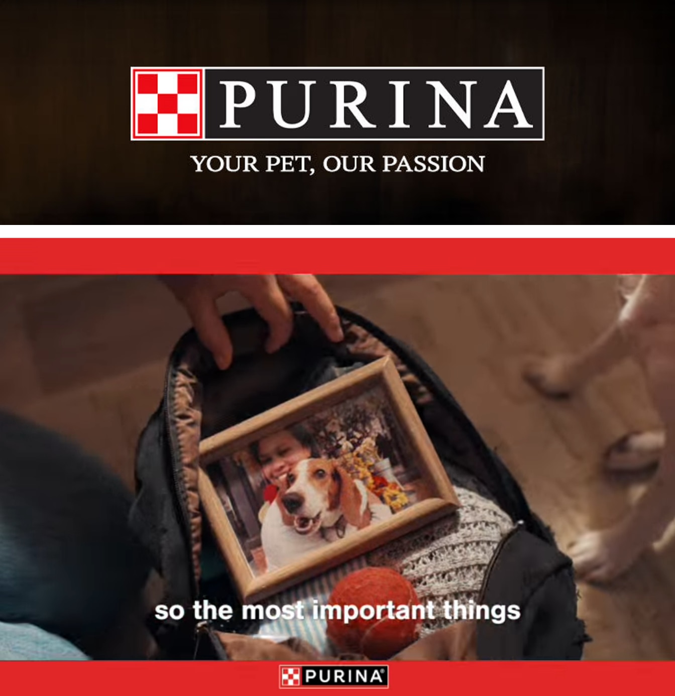 Interlachen Market Purina Weekly Ad October 1 - 31, 2026